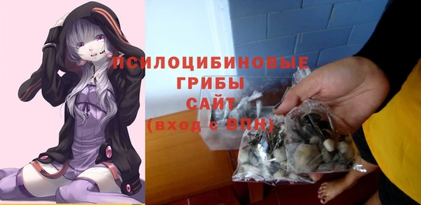 МДМА Каменногорск