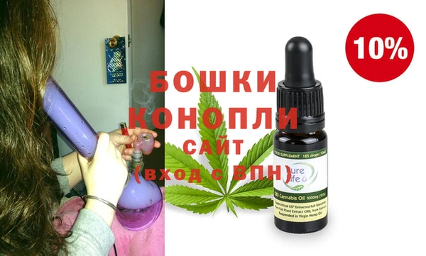 spice Каменка