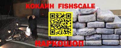 крисы Кингисепп