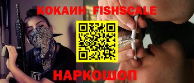 крисы Кингисепп