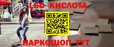 крисы Кингисепп