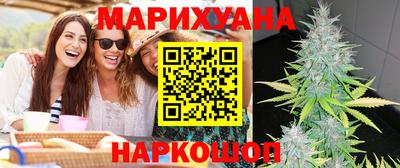 крисы Кингисепп