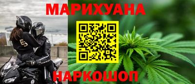 крисы Кингисепп