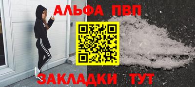 крисы Кингисепп