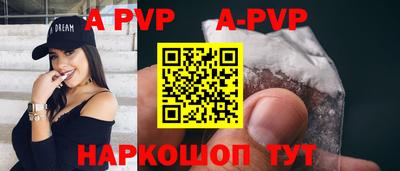 крисы Кингисепп