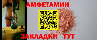 крисы Кингисепп