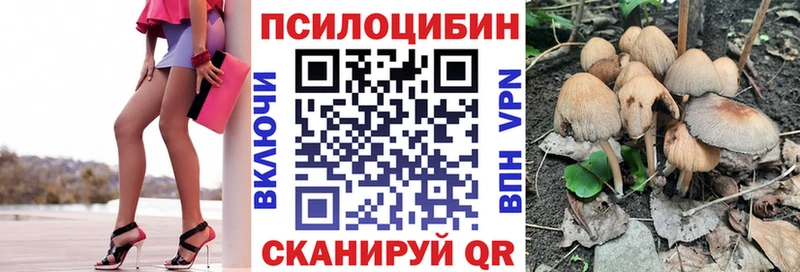 Псилоцибиновые грибы Cubensis  Лысьва 